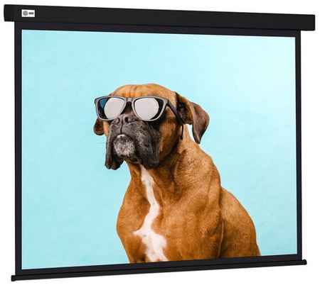 Черный экран cactus Wallscreen CS-PSW-183X244-BK, 124″, черный 198909514233