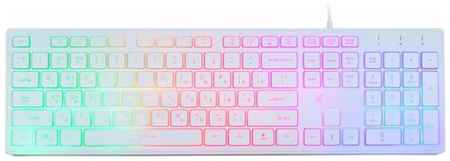 Клавиатура OKLICK 550ML White USB белый, русская, 1 шт 198934970447