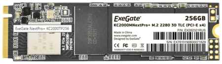 Твердотельный накопитель ExeGate 256 ГБ M.2 KC2000TP256 (EX282321RUS) 198939938437