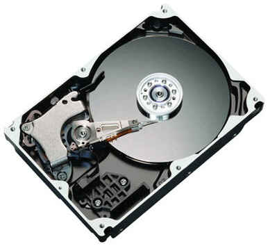 Жесткий диск Maxtor 250 ГБ STM3250310AS 198995102479