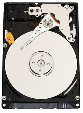 Жесткий диск Western Digital 640 ГБ WD Scorpio Blue 640 GB (WD6400BEVT) 198995102480