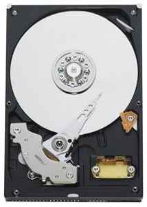 Жесткий диск Western Digital WD 320 ГБ WD 320 GB (WD3200AAJB)