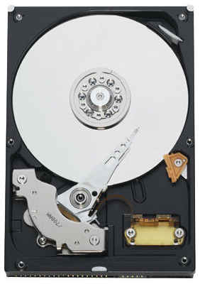 Жесткий диск Western Digital WD 320 ГБ WD 320 GB (WD3200AAKB)