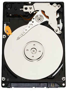 Жесткий диск Western Digital 120 ГБ WD Scorpio Blue 120 GB (WD1200BEVT) 198995107561
