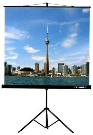 Рулонный матовый белый экран Lumien Eco View LEV-100105, 89″, черный 198999511322