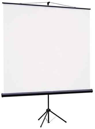 Рулонный матовый белый экран ViewScreen Clamp TCL-1102, 100″, черный 198999511351