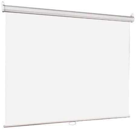 Рулонный матовый белый экран Lumien Eco Picture LEP-100109, 109″, белый 198999511353