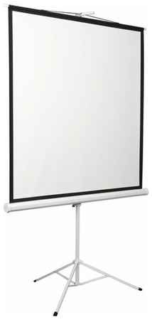 Матовый белый экран Digis KONTUR-D DSKD-4304, 120″, белый 198999511357