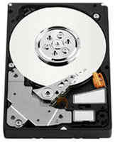 Жесткий диск Western Digital 600 ГБ WD S25 600 GB (WD6000BKHG)