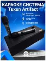 Караоке система для дома Tuxun Artifact 2.1 PRO 130 Вт с двумя микрофонами чёрная