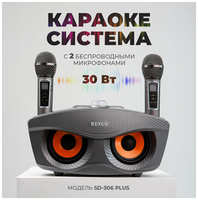 SDRD Сова - караоке система, Rexus SD 306 PLUS с двумя перезаряжаемыми радиомикрофонами, изменение голоса , блютуз