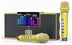 SU YOSD Караоке система с двумя микрофонами SU-YOSD YS-208, золотая, портативная