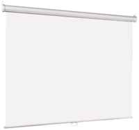 Рулонный матовый белый экран Lumien Eco Picture LEP-100114, 116″, белый