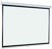 Рулонный матовый белый экран Lumien Eco Picture LEP-100112, 81″, белый