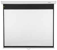 Экран для проектора Lumien Master Picture CSR 197x231см Matte White black