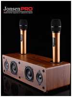 Караоке система для дома Jonsen PRO 2.1 с двумя профессиональными микрофонами, мощность 130Вт и Bluetooth