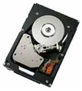 IBM Жесткий диск Lenovo 750 ГБ 43W9738