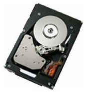 Жесткий диск IBM 500 ГБ 42D0389 198192491