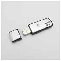ChinaBrand Самый Маленький USB Диктофон Флешка Длительная запись Голоса арт. 101-60