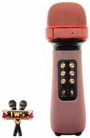 Микрофон беспроводной (Bluetooth, динамики, USB) WSTER WS-898 Розовый