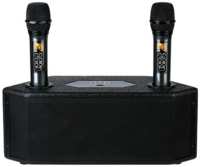 Караоке колонка с микрофонами SkyDisco Music Box Bluetooth 2 Black