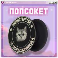 KRASNIKOVA Попсокет / держатель для телефона ″кот″ мемы