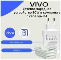 Сетевое зарядное устройство для Vivo 80W с USB входом в комплекте с кабелем Vivo USB Type-C 8A