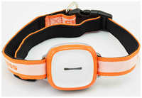 GPS-трекер с сим картой 2G для собак и кошек GPSONE SV-10, с мобильным приложением, IP 66 Оранжевый