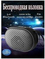 Sing-e Колонка беспроводная Bluetooth с Fm радио
