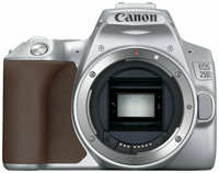 Зеркальный фотоаппарат Canon EOS 250D Body