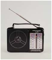 Радиоприемник MRM-POWER MR-607 Radio FM