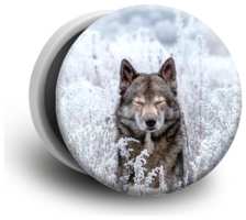 Case Place Попсокет с рисунком Волк в поле / Держатель для телефона круглый с принтом