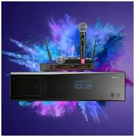 Профессиональный караоке комплект для дома с AST Mini и микрофонами AV 102X