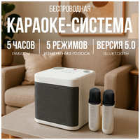 Electerra Музыкальная караоке-колонка с 2 микрофонами. Bluetooth колонка с микрофоном
