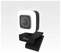 Веб-камера Ritmix RVC-220 Full HD 1080P, встроенный микрофон, подстветка 2 мил пикселей 1920 * 1080. подключение по USB