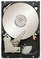 Жесткий диск Infortrend Seagate Enterprise 3.5″ SAS 12Gb/s HDD, 18TB, 7200RPM, 16 in 1 Packing HELS72S3T18-0030G