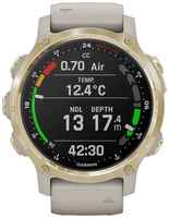 Спортивные наручные часы Garmin Descent Mk2s 010-02403-01