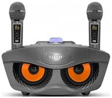 Система караоке SDRD SD 306 Plus 2 шт