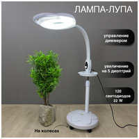 Almadi Лампа лупа Светодиодная, Напольная, С регулировкой яркости, с регулировкой высоты и наклона