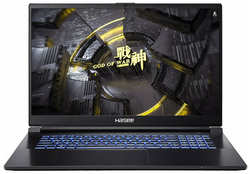 Ноутбук HASEE G8R9 G8R9 (17.3″, Core i9 13900H, 16Gb /  SSD 1000Gb, GeForce® RTX 4060 для ноутбуков) Черный