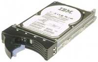 300 ГБ Внутренний жесткий диск IBM 40K1041 (40K1041)