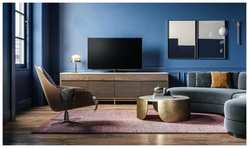 OLED телевизоры Loewe bild v.55 dr+ (60411D50)