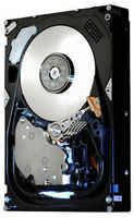Жесткий диск HGST 450 ГБ HUS156045VLF400
