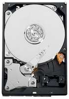 Жесткий диск Western Digital 1.5 ТБ WD AV-GP 1,5 TB (WD15EURS)