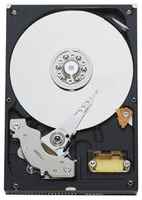 Жесткий диск Western Digital WD Blue 320 ГБ WD Blue 320 GB (WD3200AAJB)