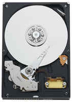 Жесткий диск Western Digital WD Blue 320 ГБ WD Blue 320 GB (WD3200AAKB)