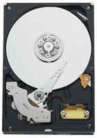 Жесткий диск Western Digital WD Blue 80 ГБ WD800BB