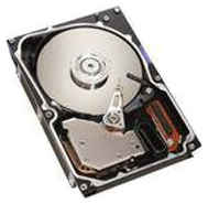 Жесткий диск Lenovo 146.8 ГБ 40K1044