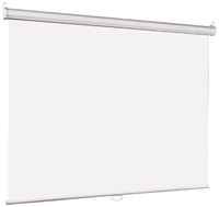 Рулонный матовый белый экран Lumien Eco Picture LEP-100109, 109″, белый