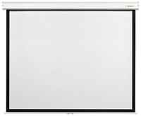 Матовый белый экран Digis SPACE DSSM-163007, 131″, белый